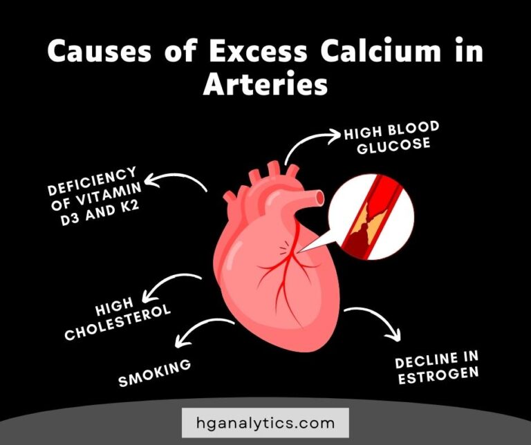 what-causes-calcium-in-arteries-complete-guide