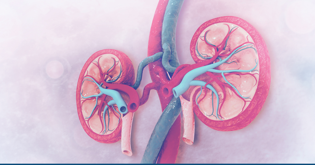 what-causes-stage-3-kidney-disease-healthykidneyclub